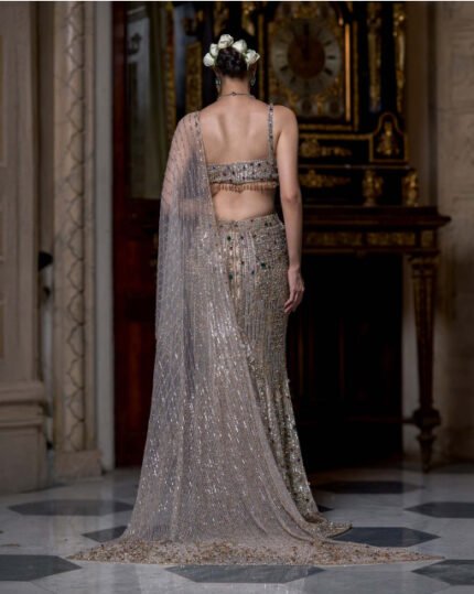 Silver & Gold Fitted Lehenga Set