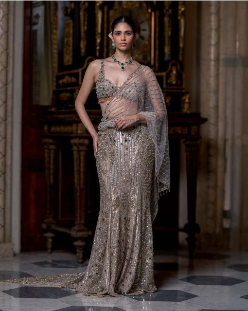 Silver & Gold Fitted Lehenga Set Silver & Gold Fitted Lehenga Set